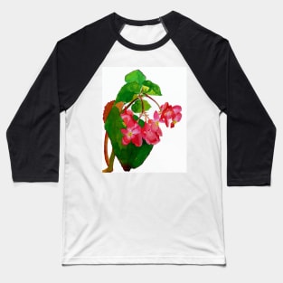 Begonia Baseball T-Shirt